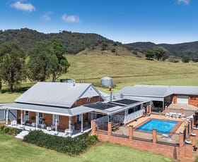 Rural / Farming commercial property for sale at 914 Queens Pinch Road Mudgee NSW 2850
