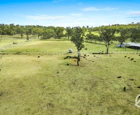 Rural / Farming commercial property for sale at 8667 New England Highway Muswellbrook NSW 2333