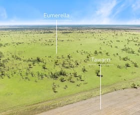 Rural / Farming commercial property for sale at 'Eumerella' Lot 87 Eumerella Road, Thallon QLD 4497