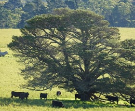 Rural / Farming commercial property for sale at Exeter NSW 2579