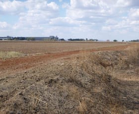 Rural / Farming commercial property for sale at Farm 141 Gogeldrie Road Gogeldrie NSW 2705