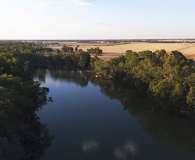 Rural / Farming commercial property for sale at 1771 Perricoota Road Moama NSW 2731
