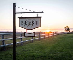 Rural / Farming commercial property for sale at 241 Elphinstone Road Allora QLD 4362