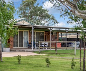 Rural / Farming commercial property for sale at 241 Elphinstone Road Allora QLD 4362