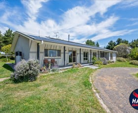 Rural / Farming commercial property for lease at 87 Millynn Road Bywong NSW 2621