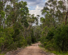 Rural / Farming commercial property for sale at 153 Murumba Rd, Bombay NSW 2622
