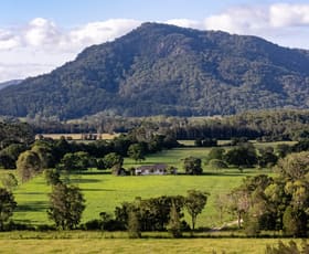 Rural / Farming commercial property for sale at 181 Henrys Lane Moorland NSW 2443