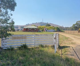 Rural / Farming commercial property for sale at 'Riverview', 70 Rugby Road Boorowa NSW 2586
