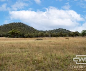 Rural / Farming commercial property for sale at 137, 4108 Tent Hill Road Emmaville NSW 2371