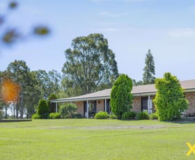 Rural / Farming commercial property for sale at 378 Dyrring Road Singleton NSW 2330