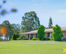 Rural / Farming commercial property for sale at 378 Dyrring Road Singleton NSW 2330