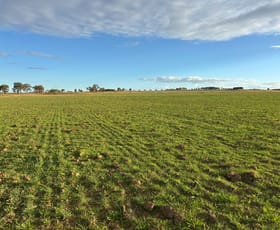 Rural / Farming commercial property for sale at 156 Warral-Bithramere Road Tamworth NSW 2340