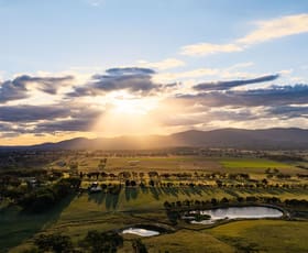 Rural / Farming commercial property for sale at 965A Bruxner Way Tenterfield NSW 2372