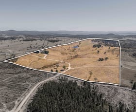 Rural / Farming commercial property for sale at 139 Selection Road Orange NSW 2800