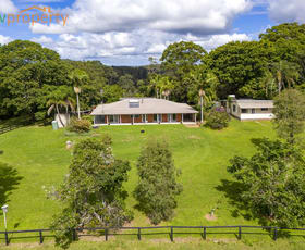 Rural / Farming commercial property for sale at 76 Maple Road Yarrahapinni NSW 2441