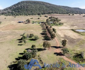 Rural / Farming commercial property for sale at 41 Fulwood Road Curlewis NSW 2381