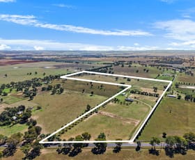 Rural / Farming commercial property for sale at 318 Goolma Road Gulgong NSW 2852