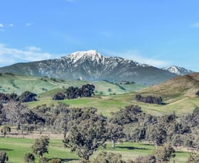 Rural / Farming commercial property for sale at 75 McLeod Lane Mansfield VIC 3722