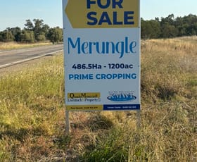 Rural / Farming commercial property for sale at 'Merungle' 6689 Mid Western Hwy, Marsden West Wyalong NSW 2671