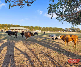 Rural / Farming commercial property for sale at 1810 Korumburra Wonthaggi Road Lance Creek VIC 3995