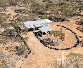 Rural / Farming commercial property for sale at Lot 9 Old Railway Road Steinfeld SA 5356
