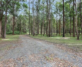Rural / Farming commercial property for sale at 14 Lombard Street Coolongolook NSW 2423