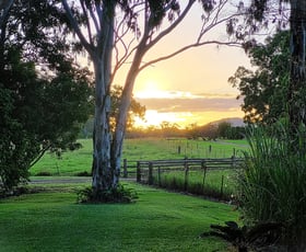 Rural / Farming commercial property for sale at Wondecla QLD 4887