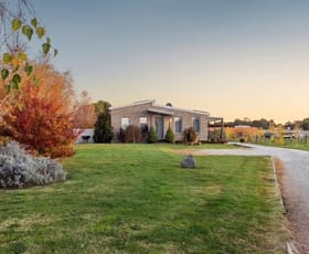 Rural / Farming commercial property for sale at 61 Wiggins Road Mitchell Park VIC 3355