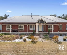 Rural / Farming commercial property for sale at 216 Wallenjoe Road Huntly VIC 3551