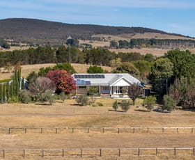 Rural / Farming commercial property for sale at 137 Leahys Lane Lake Bathurst NSW 2580