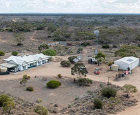 Rural / Farming commercial property for sale at 203 Nura Road Morgan SA 5320