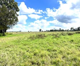 Rural / Farming commercial property for sale at Lot 95/ Old Rosemount Road Kulpi QLD 4352