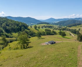 Rural / Farming commercial property for sale at 71 Moores Road Dungog NSW 2420