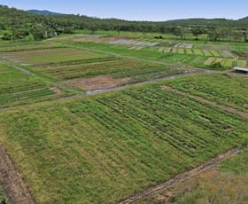 Rural / Farming commercial property for sale at 1A Greta Road Oak Valley QLD 4811