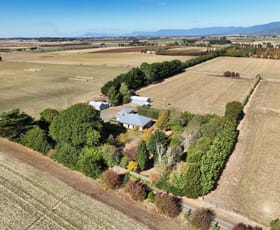 Rural / Farming commercial property for sale at 79 Hagley Station Lane Hagley TAS 7292