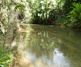 Rural / Farming commercial property for sale at Lot 81 Spiteri Road Bombeeta QLD 4871