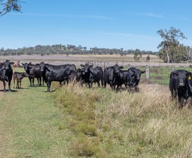 Rural / Farming commercial property for sale at "Camden" 334 Kelvinhaugh-Yalangur Road Yalangur QLD 4352