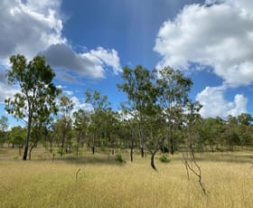 Rural / Farming commercial property for sale at 51 Spring Creek Road, Wycarbah QLD 4702
