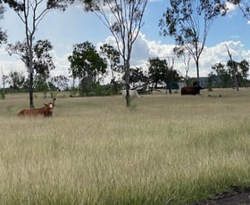 Rural / Farming commercial property for sale at 51 Spring Creek Road, Wycarbah QLD 4702