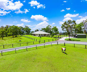 Rural / Farming commercial property for sale at 8115 Mount Lindesay Highway Josephville QLD 4285