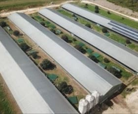 Rural / Farming commercial property for sale at Mangrove Mountain NSW 2250