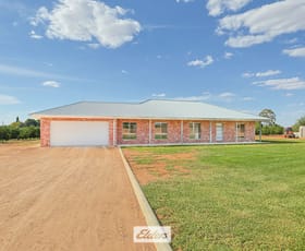 Rural / Farming commercial property for sale at 1944 Silver City Highway Coomealla NSW 2717