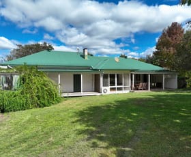 Rural / Farming commercial property for sale at 15675 Clarence Way Bean Creek NSW 2469