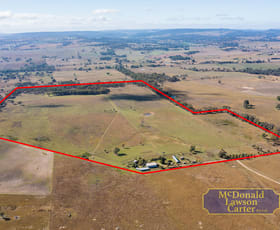 Rural / Farming commercial property for sale at 75 Abbots Lane Mudgee NSW 2850