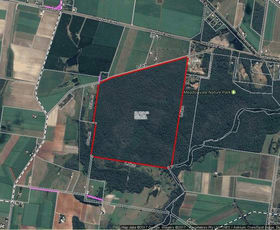 Rural / Farming commercial property sold at Lot 73 Lot 73 Heales Road Meadowvale QLD 4670
