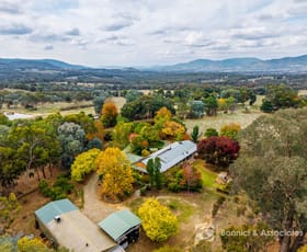Rural / Farming commercial property for sale at 109 Robinson Lane Yackandandah VIC 3749