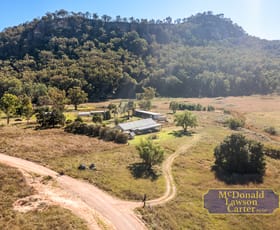 Rural / Farming commercial property for sale at 1589 Barigan Rd Barigan NSW 2850