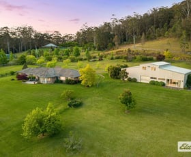 Rural / Farming commercial property for sale at 41 Amber Lane Wyong Creek NSW 2259