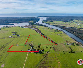 Rural / Farming commercial property for sale at Moruya NSW 2537