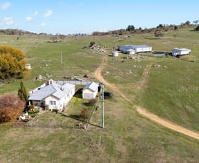 Rural / Farming commercial property for sale at 1031 Cootralantra Road Cooma NSW 2630